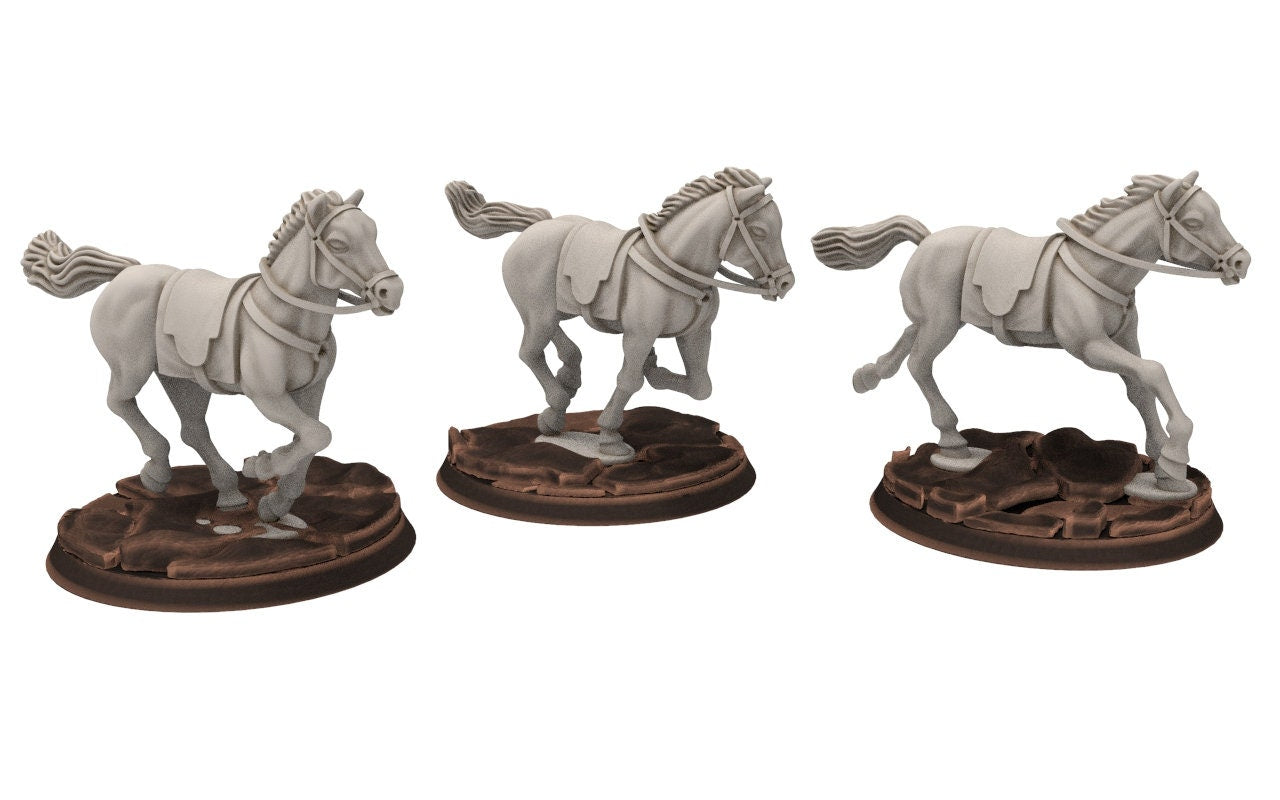 Ornor - Ranger galloping Horses of the North