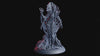 The City of Demons - The Lady of Rot and Decay - Flesh of Gods — Turntable
