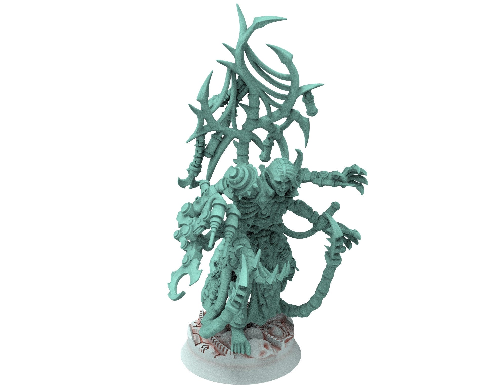 Dark City - Painmaker Lord, Leader of The Obsessed Tortured warriors, Sadistic soldiers Dark eldar drow