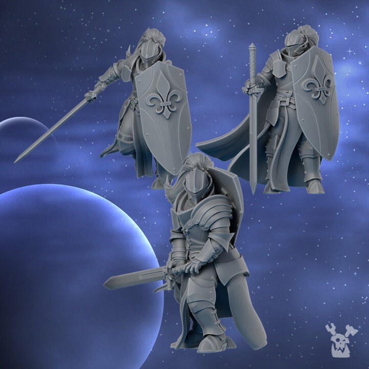 Battle Sister - Knights of the Crescent, assassins, cult death, sorority, crusade battle