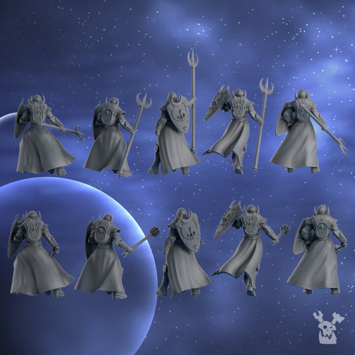 Battle Sister - Silver Guards Squad with mace, assassins, cult death, sorority, crusade battle