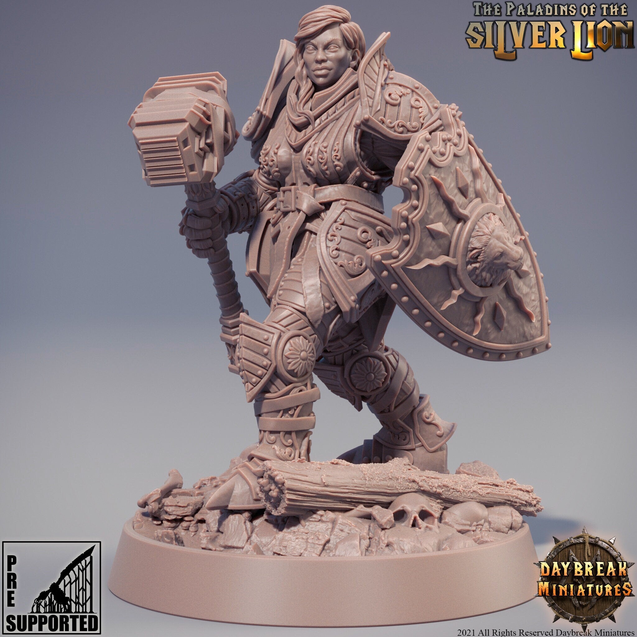Protector of light - Isabelle Du Lion d'Argent - The Paladins of The Silver Lion , Pathfinder, Dungeons & Dragons